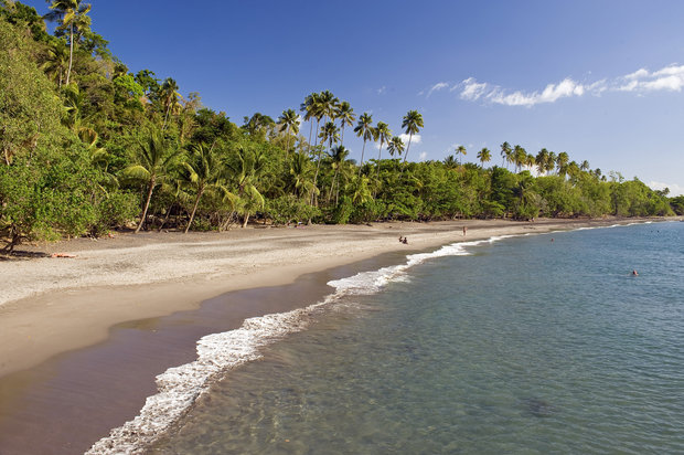 If you’re drinking ‘rhum,’ you’re probably in Martinique