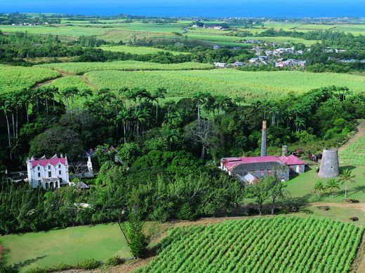 The Rum So Potent You Cannot Take It On Planes